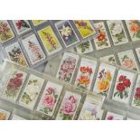 Cigarette Cards, Flowers, a large collection of sets to include Australian Issue Australian Wild