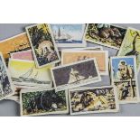 Trade Cards, Brooke Bond, a collection of 26 loose sets, various genres, a few duplicates (gd/vg)(