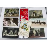 Postcards, a collection of approx 700 Edwardian cards in four modern albums inc, Embossed, Art,