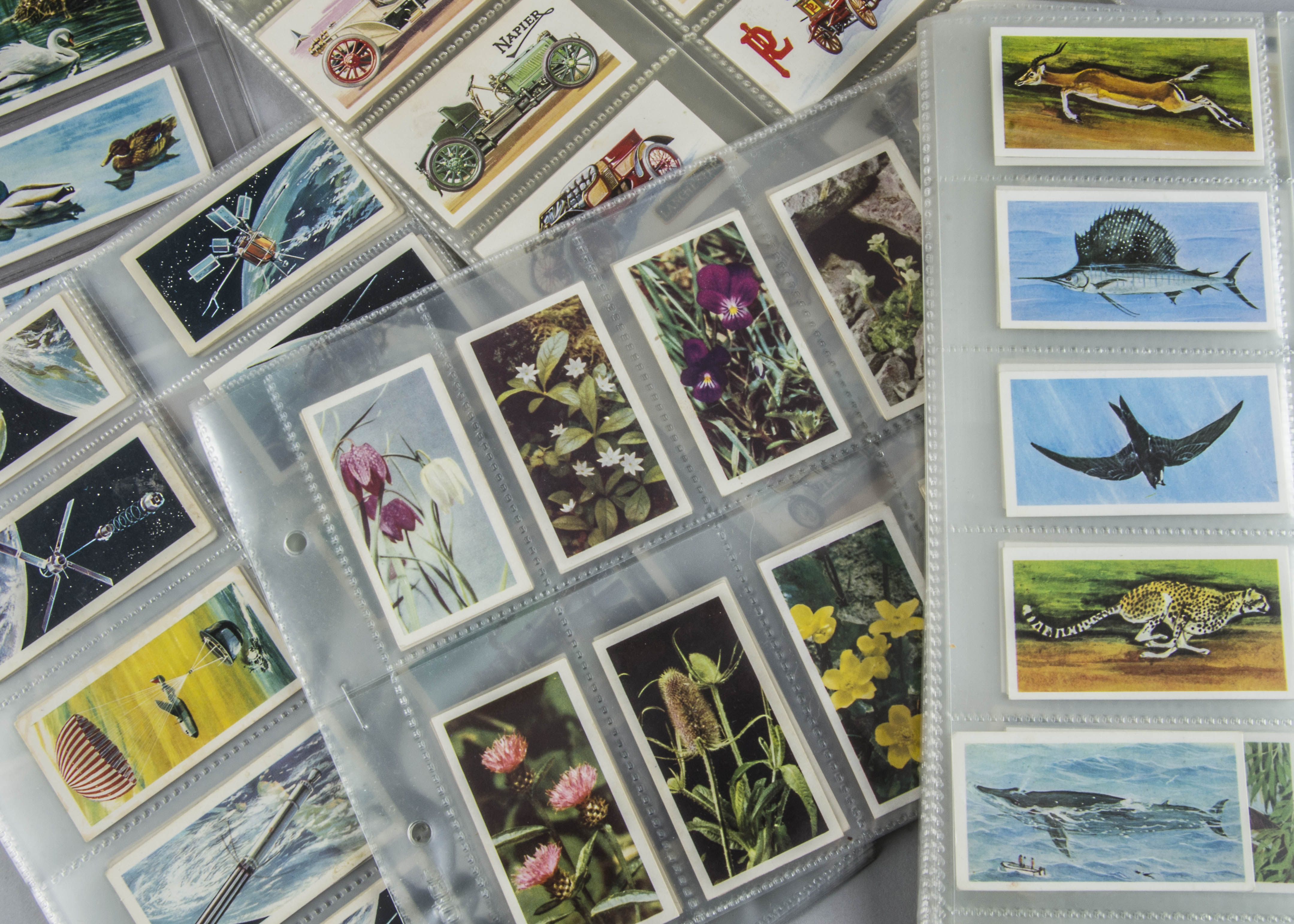 Trade Cards, Brooke Bond, a collection of sets to include British Birds (Frances Pitt Series),