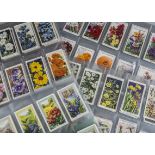 Cigarette Cards, Flowers, a selection of sets by various Manufacturers to include Gallahers Garden