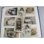 Postcards, a group of seven modern albums containing approx 700 Edwardian cards inc, Children, Cats,