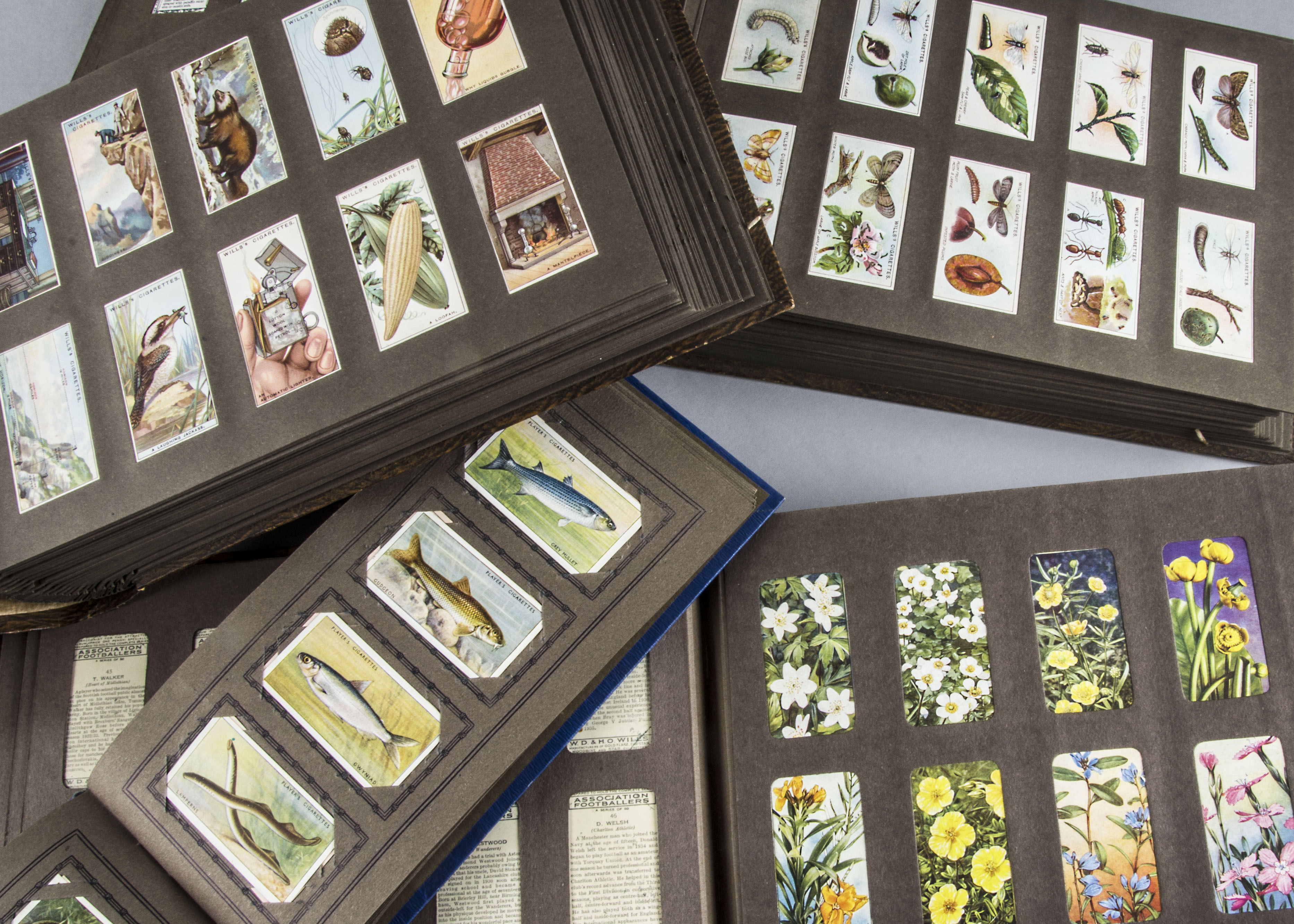 Cigarette Cards, Mixture, a collection of various genre sets and part sets contained in bespoke