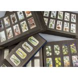Cigarette Cards, Mixture, a collection of various genre sets and part sets contained in bespoke