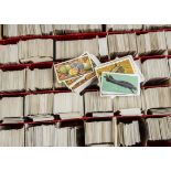 Trade Cards, Brooke Bond, a vast collection of loose cards, various part sets, 1000's of cards, (