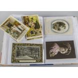 Postcards, a collection of 14 ( mostly mini) modern albums containing approx 600 Edwardian and later