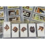 Cigarette Cards, Dogs, a variety of sets to include Players Dogs Heads by Wardle Irish Issue A & 2nd