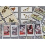 Cigarette Cards, Animals, Players sets to include Overseas Issue Bonzo Dogs by Studdy (gen gd, a few