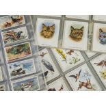 Cigarette Cards, Animals, Birds and Fish, a large collection of sets to include Players Game Birds