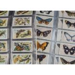 Cigarette Cards, Nature, a selection of sets to include Goodbody Questions & Answers in Natural