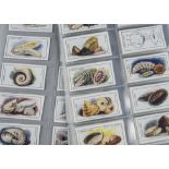 Trade Cards, Sea Shells, Cerebos set (brown back) (vg)