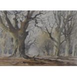 Ley Kenyon, 20th Century, watercolour, English woodland scene, inscribed verso, 18 cm x 25 cm