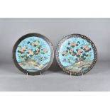 A pair of Chinese cloisonné wall chargers, both having bird and butterfly amongst foliate