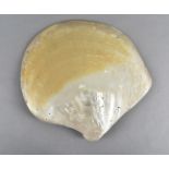 A mother of pearl shell dish, 27 cm wide x 25 cm high