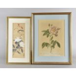 A collection of oriental watercolours, including four on silk another on paper, all botanical