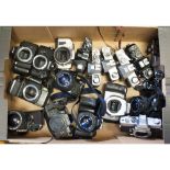 Various SLR Camera Bodies, some with lenses, various manufacturers including Nikon, Canon, Minolta