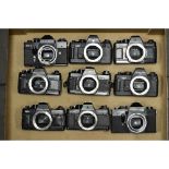 A Tray of Praktica Bodies, all black finish, various models including a BM, a BCA and more