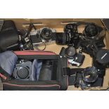 A Tray of SLR Cameras, including a Canon T80 outfit, a Nikkormat FT2, an Olympus OM2 and more
