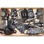 A Tray of SLR Cameras, including a Canon EOS 1000F, an Olympus OM10, a Nikon EM and more