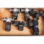 A Tray of SLR Cameras, including a Olympus OM1, Olympus OM10, Yashica FX-1 and a Ricoh XR-1O