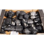 A Tray of DSLR Cameras including a Canon EOS 20D, Nikon D100, Nikon D70 and some other examples