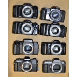 A Tray of SLR Camera Bodies, various examples by Pentax and Olympus