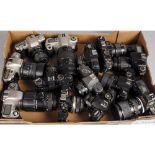 A Tray of SLR Cameras, manufacturers including Olympus, Nikon and Pentax all with lenses