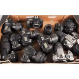 Various DSLR Camera Bodies, from manufacturers including Canon, Nikon and Sony some including kit