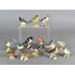 Fourteen Beswick models of birds, including stonechat, chaffinch, nuthatch, grey wagtail, two