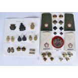 An interesting collection of AOC and RAOC badges and epaulettes, all from four generations of the