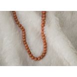 A Victorian coral bead necklace, the long single strand of graduating pink beads with gold clasps,