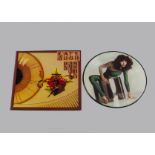 Kate Bush Picture Disc, The Kick Inside Picture Disc LP - Original UK release 1979 with Fully