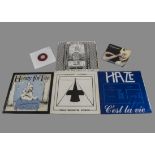 Prog / NWOBHM / Indie, collection of Albums and singles with artists including Haze, Chameleons,