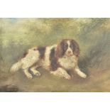 Attributed to Frederick French, oil on canvas, study of a spaniel, titled 'York', 26 cm x 36 cm