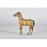 A Bergman cold painted bronze, modelled as a horse, standing, marked to underside and numbered, 11.5