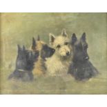 Frederick French, (act 1883-1916), oil on canvas, study of terriers, 36 cm x 46 cm