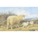 George Burrell Willcock (1811-1852) watercolour, ewe and young, label to front, framed and glazed,