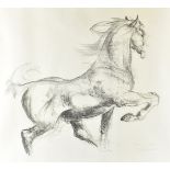 Ins smaalders, Dutch, 20th Century, charcoal and pen on paper, study of a pony, signed LR, 58cm x