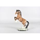 A Beswick figure of a horse, on back legs, no. 1014, 26 cm high
