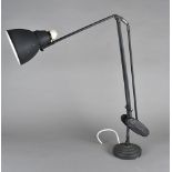 A counter balance angle poise lamp