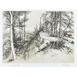 Harold Sayer, etching, Severn Vale from Edge, 19/250 signed in pencil to border, dated 1990, 22 cm x