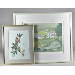 A collection of watercolours, mostly still life flowers including Barbara Watson Lily of the