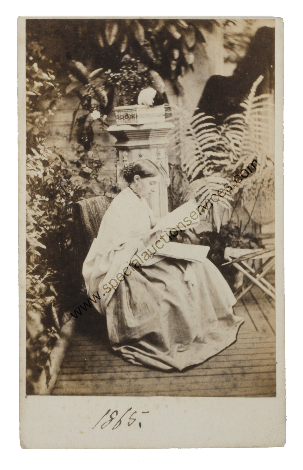 Cartes de Visite Portraits - Taken Outside, ladies, in gardens, orangeries, on Worcestershire