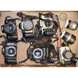 Canon 35mm SLR Cameras including EOS 30v, 30, 50E, EF-M, 1000f and a Minolta S-1