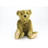 A Steiff Limited Edition Teddy Bear with hot-water bottle 1907, 2157 of 3000, signed on foot by