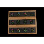 19 Early Mahogany-Framed Finely-Painted Long Magic Lantern Slides, each 382mm x 102mm, 13 of animals