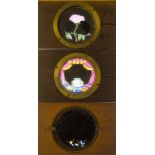 Three Mahogany-Mounted Hand-Coloured Rackwork Magic Lantern Slides, one of a blooming rose, a