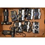 A Tray of 35mm SLR Cameras, including; Pentax K1000,Spotmatic, Mamiya ZE, 500 DTL, Yashica TL-