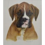P. A. Wilson-Keary (20th Century) watercolour and pencil on paper A Boxer', signed and dated in