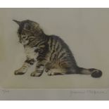 20th Century Italian School coloured etching, Tabby Cat', signed in pencil in the margin, 10.8 cm